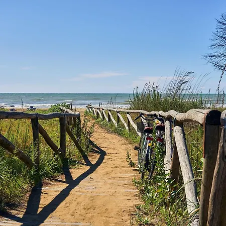 A At The Center Of Emotion * Bibione