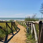 A At The Center Of Emotion * Bibione